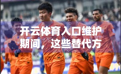 开云体育入口维护期间，这些替代方案让你不掉队！