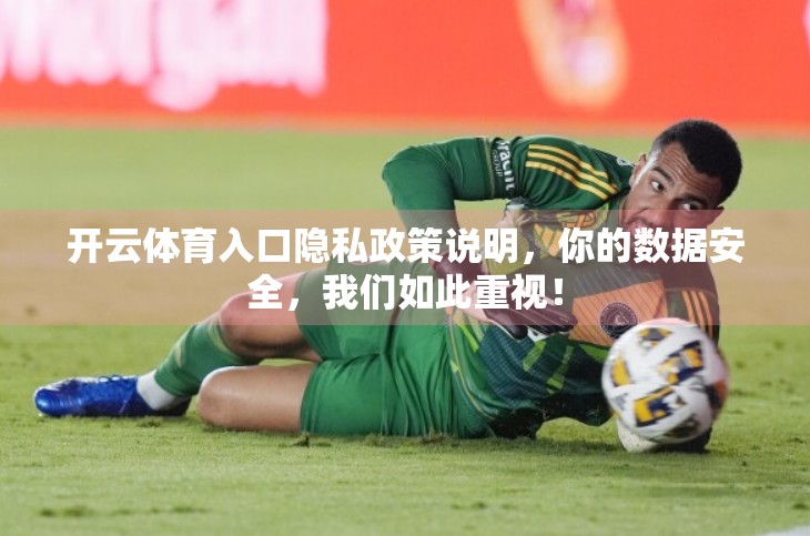 开云体育入口隐私政策说明，你的数据安全，我们如此重视！