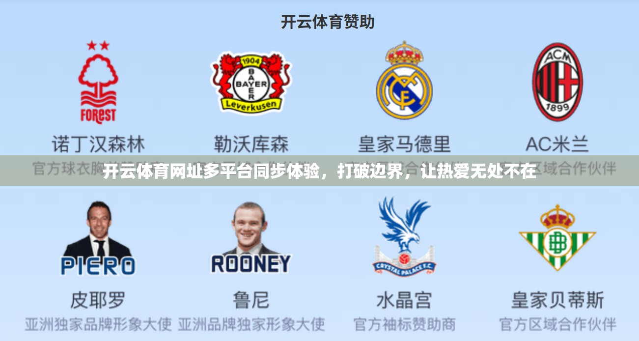 开云体育网址多平台同步体验，打破边界，让热爱无处不在