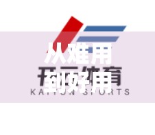 从难用到好用，开云体育登录界面优化，如何真正提升用户体验？