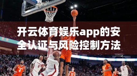 开云体育娱乐app的安全认证与风险控制方法，数字时代下用户隐私与数据安全的双重防线