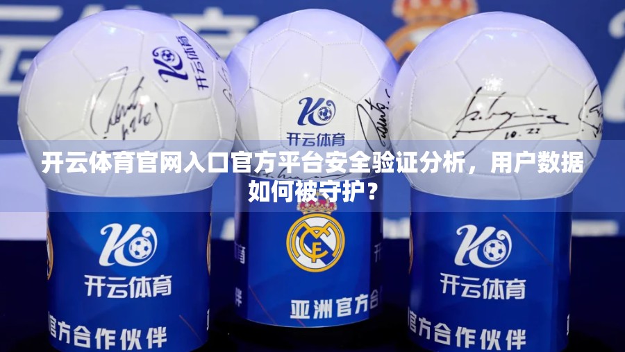 开云体育官网入口官方平台安全验证分析，用户数据如何被守护？