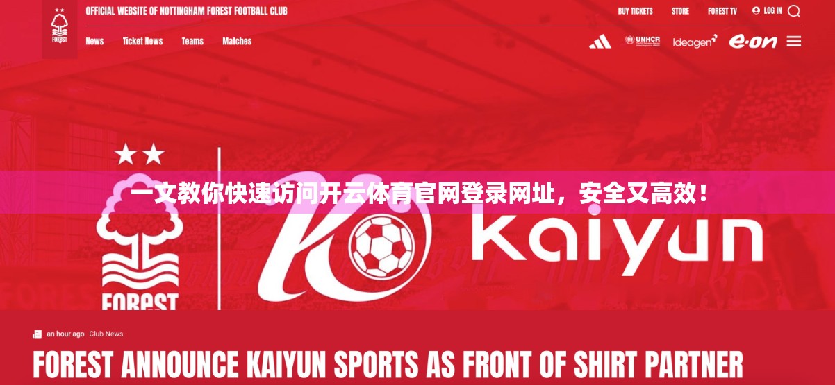 一文教你快速访问开云体育官网登录网址，安全又高效！