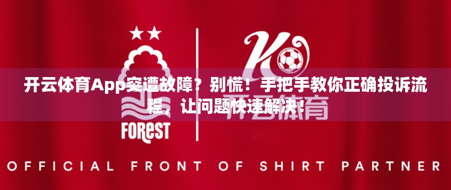 开云体育App突遭故障？别慌！手把手教你正确投诉流程，让问题快速解决！