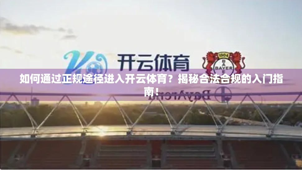 如何通过正规途径进入开云体育？揭秘合法合规的入门指南！