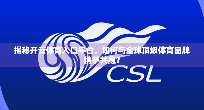 揭秘开云体育入口平台，如何与全球顶级体育品牌携手共赢？