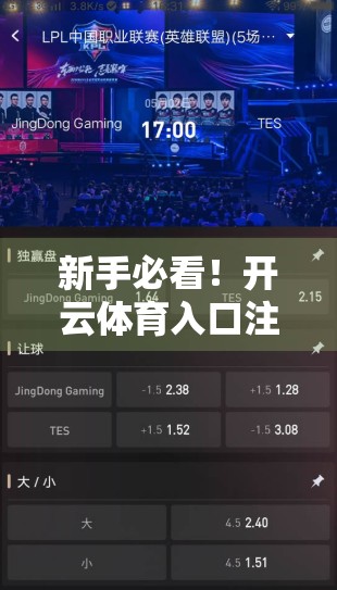 新手必看！开云体育入口注册账号的完整指南与避坑技巧，轻松玩转体育盛宴！