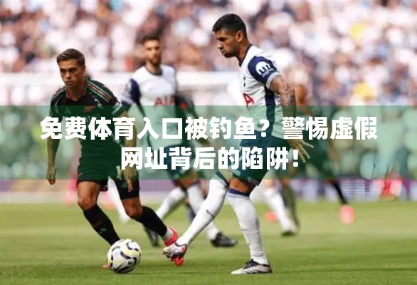 免费体育入口被钓鱼？警惕虚假网址背后的陷阱！