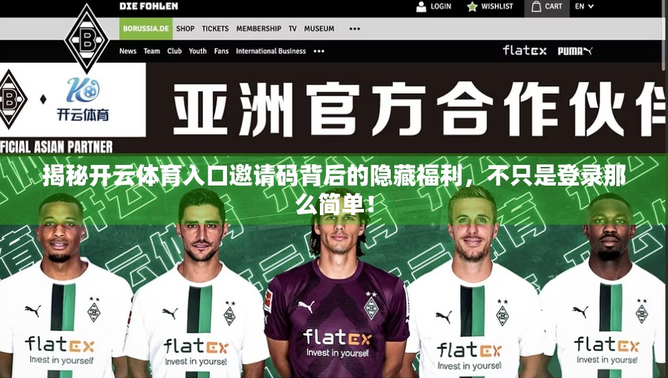 揭秘开云体育入口邀请码背后的隐藏福利，不只是登录那么简单！