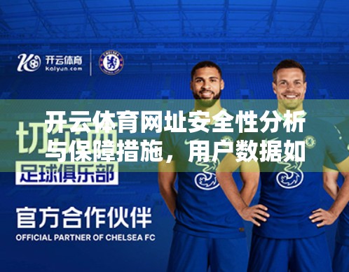 开云体育网址安全性分析与保障措施，用户数据如何在数字浪潮中稳如磐石？