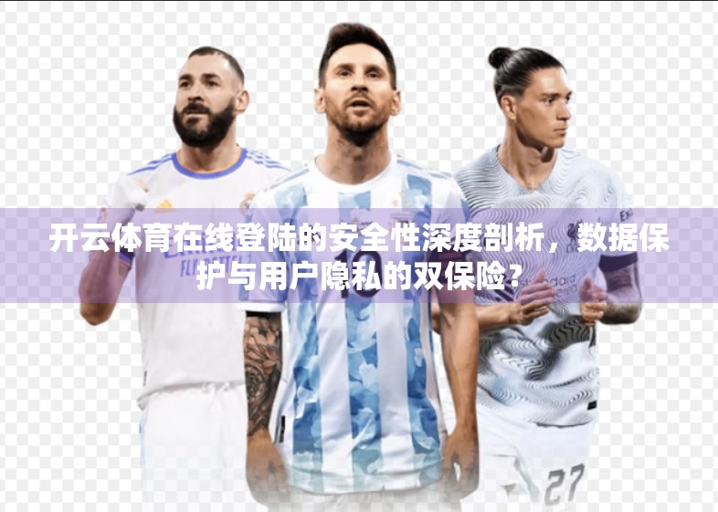 开云体育在线登陆的安全性深度剖析，数据保护与用户隐私的双保险？