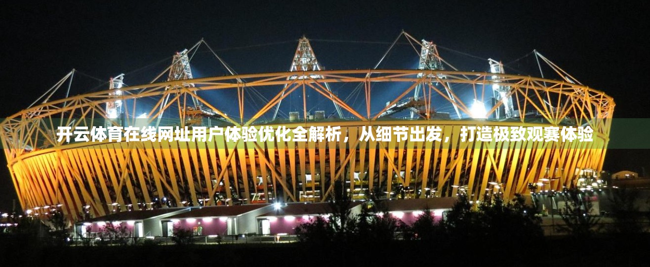 开云体育在线网址用户体验优化全解析，从细节出发，打造极致观赛体验
