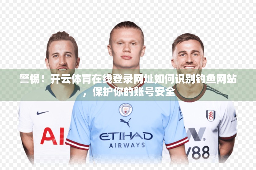 警惕！开云体育在线登录网址如何识别钓鱼网站，保护你的账号安全