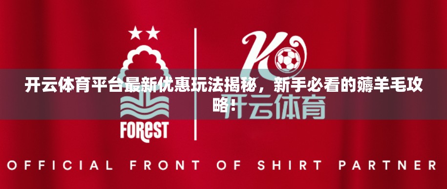 开云体育平台最新优惠玩法揭秘，新手必看的薅羊毛攻略！