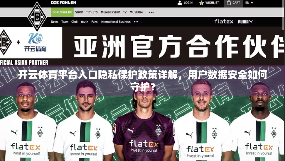 开云体育平台入口隐私保护政策详解，用户数据安全如何守护？
