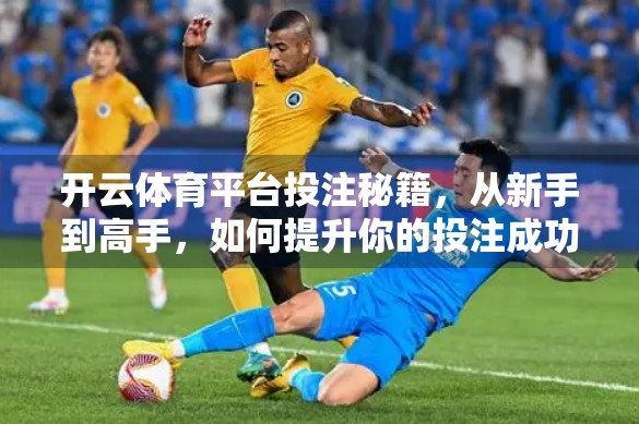 开云体育平台投注秘籍，从新手到高手，如何提升你的投注成功率？