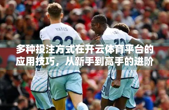 多种投注方式在开云体育平台的应用技巧，从新手到高手的进阶指南