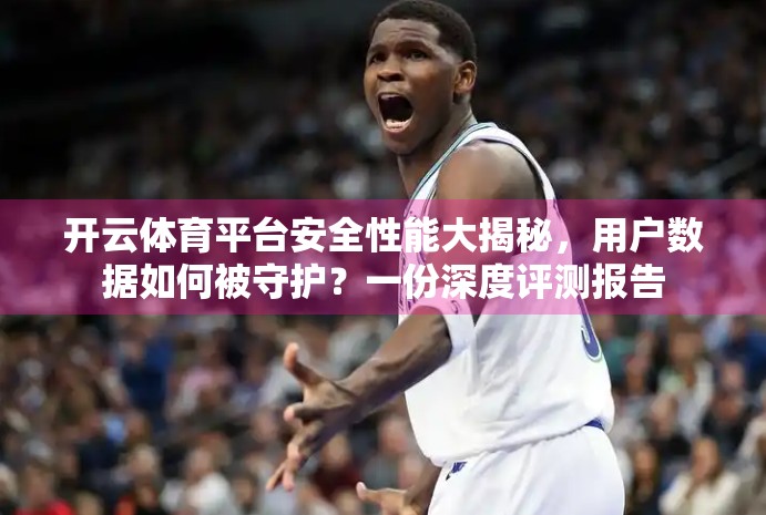 开云体育平台安全性能大揭秘，用户数据如何被守护？一份深度评测报告