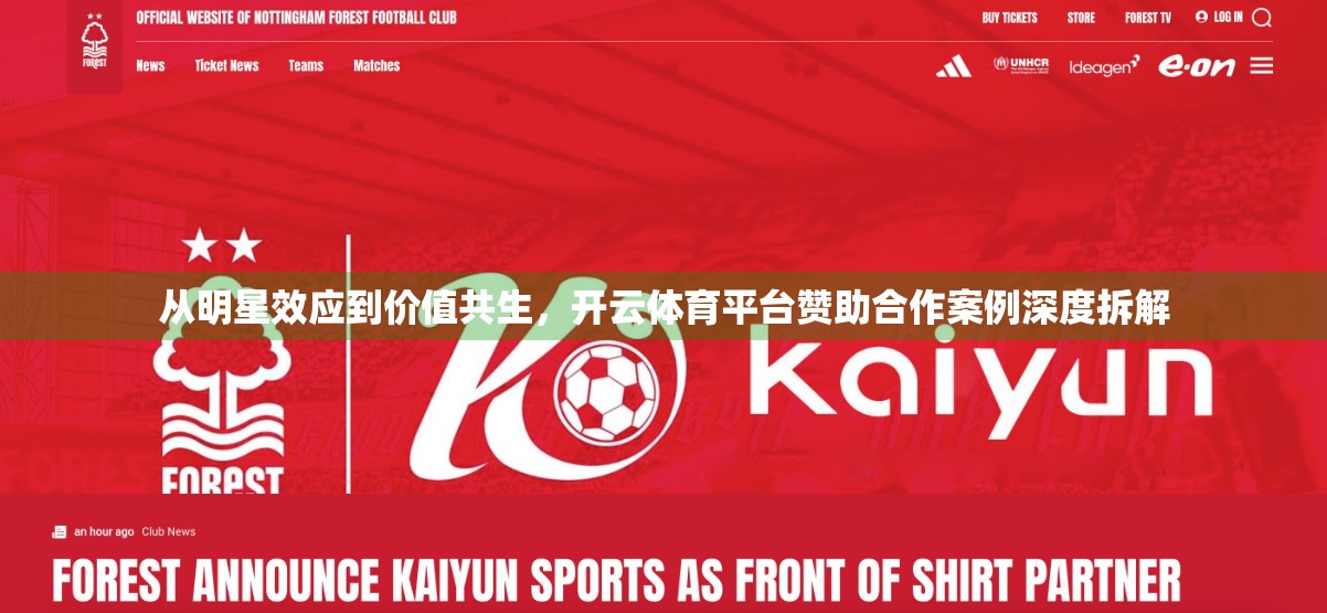 从明星效应到价值共生，开云体育平台赞助合作案例深度拆解
