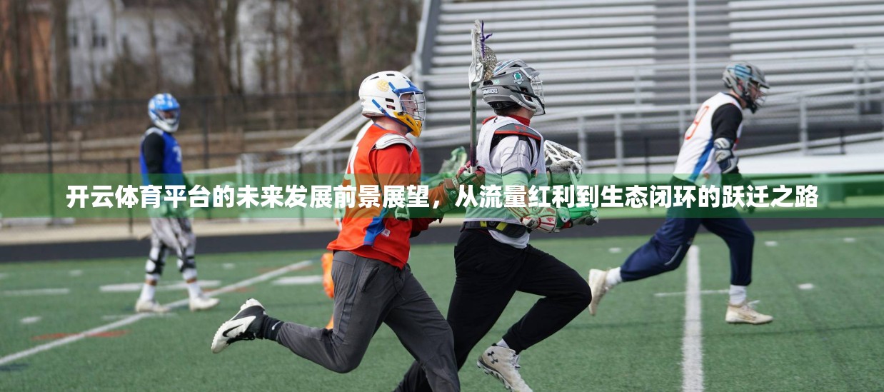 开云体育平台的未来发展前景展望，从流量红利到生态闭环的跃迁之路