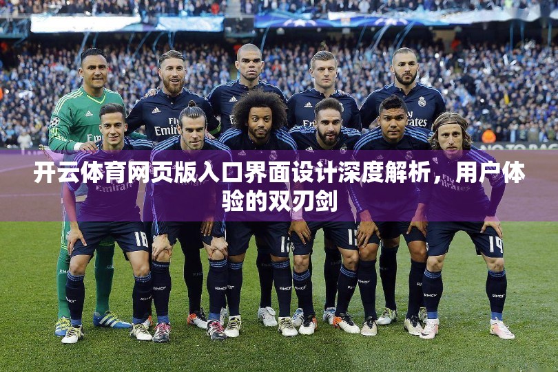 开云体育网页版入口界面设计深度解析，用户体验的双刃剑