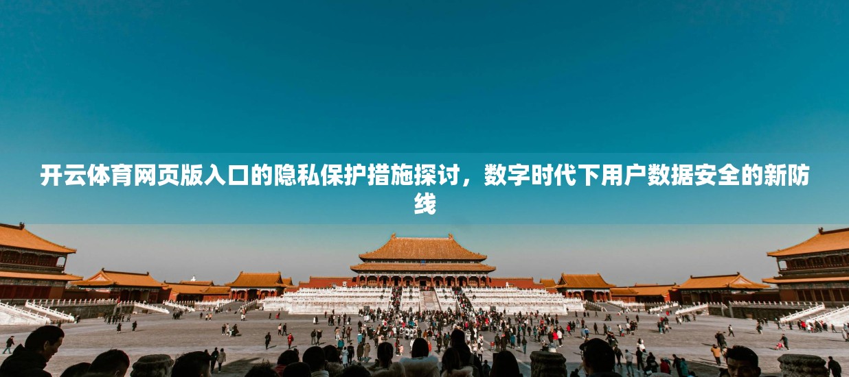 开云体育网页版入口的隐私保护措施探讨，数字时代下用户数据安全的新防线