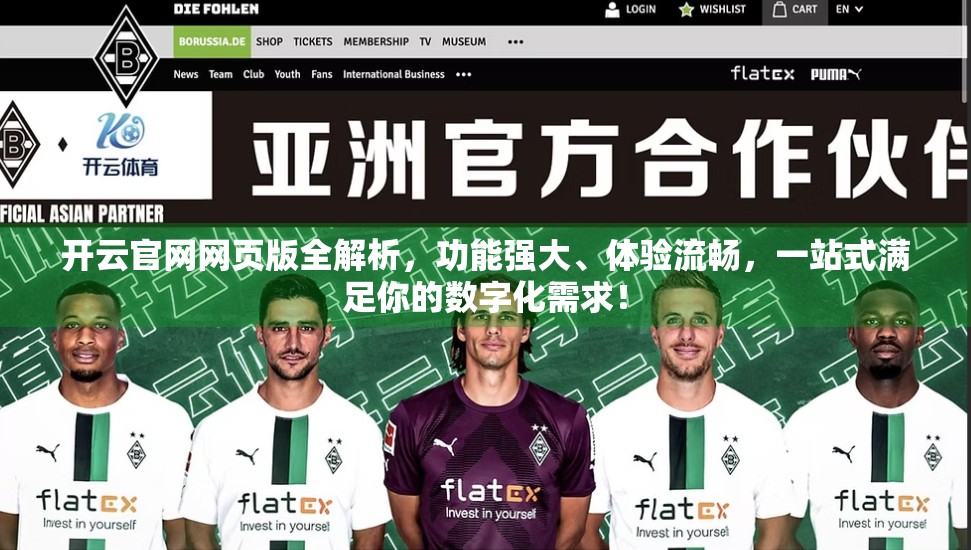 开云官网网页版全解析，功能强大、体验流畅，一站式满足你的数字化需求！