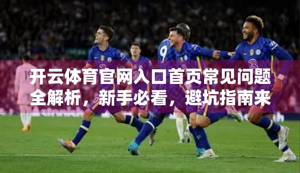 开云体育官网入口首页常见问题全解析，新手必看，避坑指南来了！