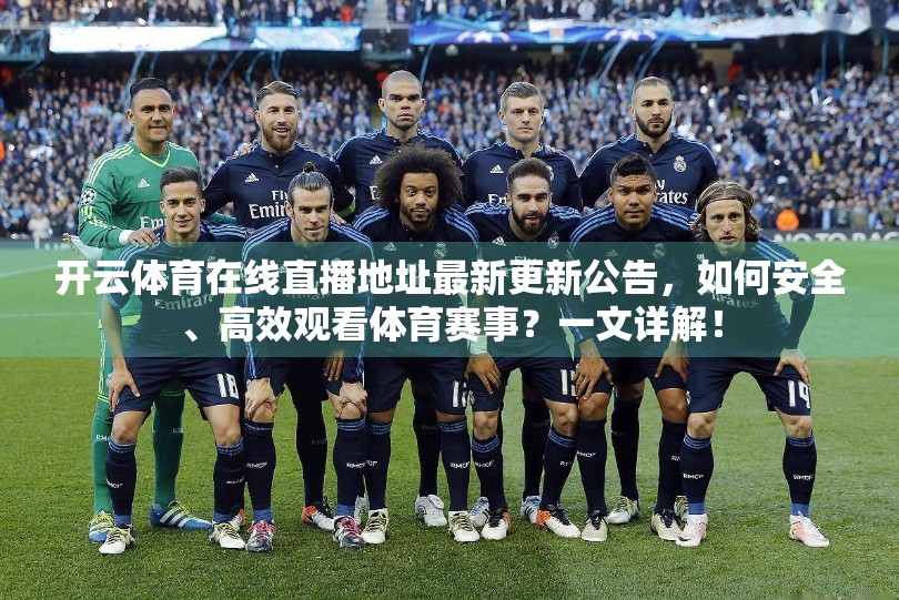 开云体育在线直播地址最新更新公告，如何安全、高效观看体育赛事？一文详解！
