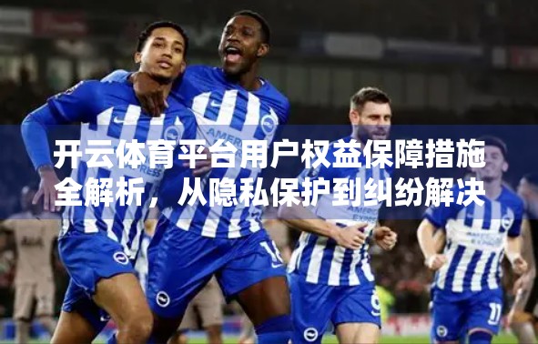 开云体育平台用户权益保障措施全解析，从隐私保护到纠纷解决，如何让每一份热爱都安心无忧？