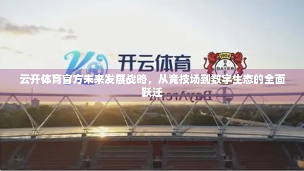 云开体育官方未来发展战略，从竞技场到数字生态的全面跃迁