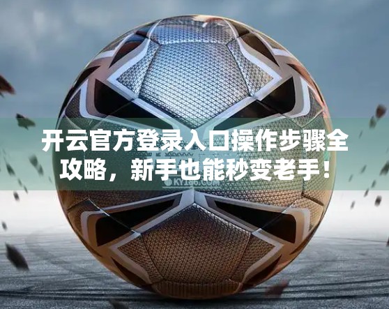 开云官方登录入口操作步骤全攻略，新手也能秒变老手！