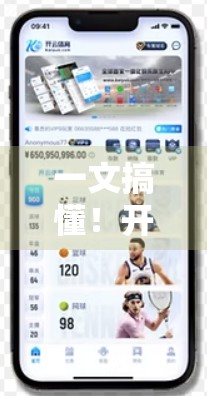 一文搞懂！开云体育入口客户端与网页版切换全攻略，新手也能秒变老手！