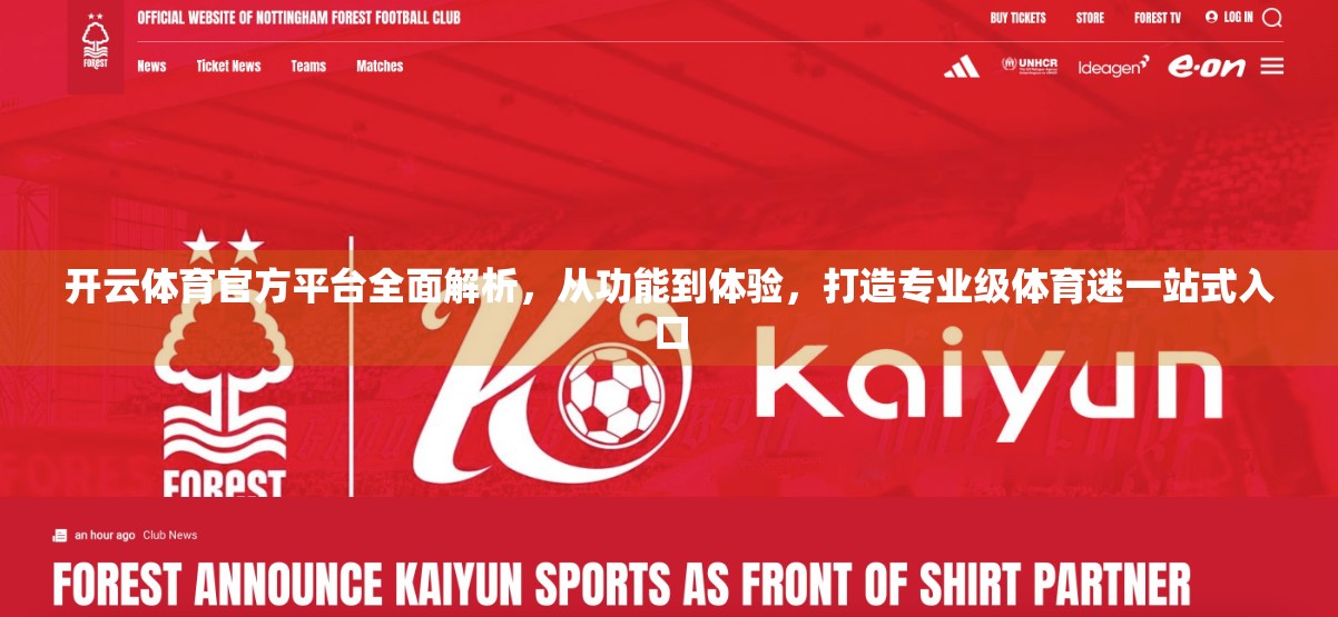 开云体育官方平台全面解析，从功能到体验，打造专业级体育迷一站式入口