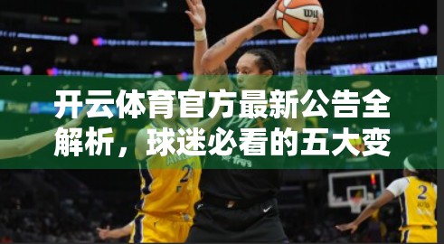开云体育官方最新公告全解析，球迷必看的五大变化与未来布局！