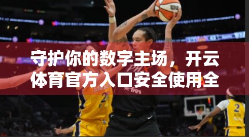 守护你的数字主场，开云体育官方入口安全使用全攻略，这样操作才安心！