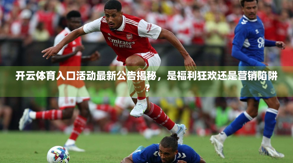 开云体育入口活动最新公告揭秘，是福利狂欢还是营销陷阱？