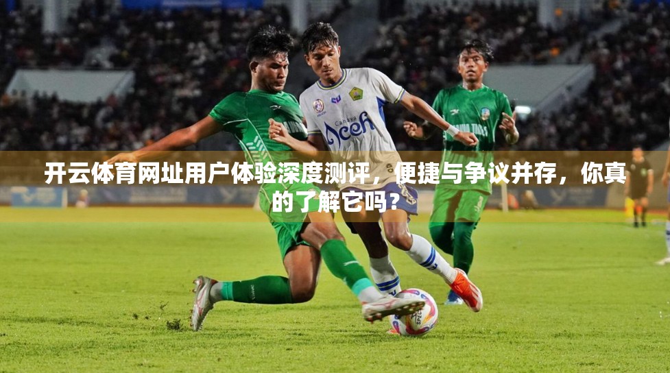 开云体育网址用户体验深度测评，便捷与争议并存，你真的了解它吗？