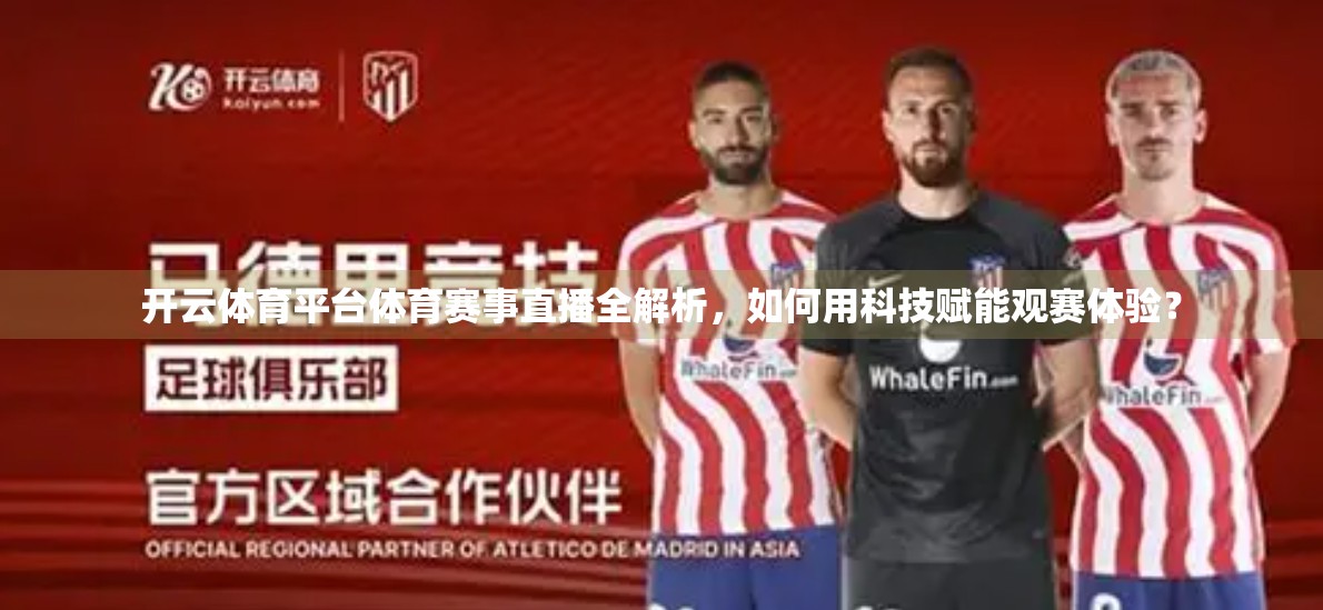 开云体育平台体育赛事直播全解析，如何用科技赋能观赛体验？