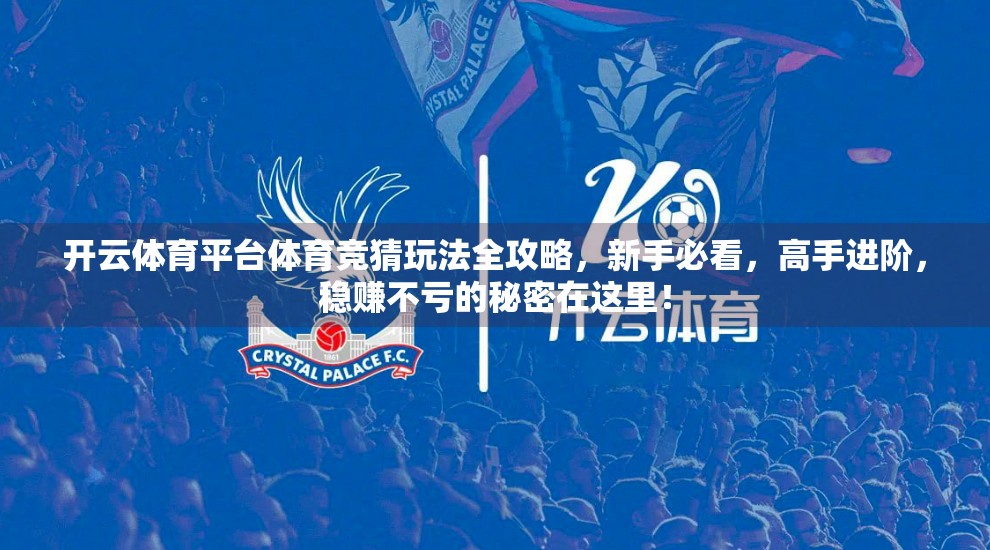 开云体育平台体育竞猜玩法全攻略，新手必看，高手进阶，稳赚不亏的秘密在这里！